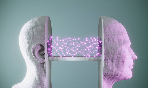 Sliced and halved 3d cyborg head made of concrete connected with a concrete bridge and binary codes, symbolizing artificial intelligence prompts concept. (3d render)