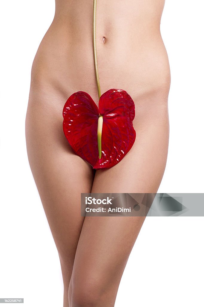 Woman body with flower on her pubes Close up of a woman body with flower on her pubes Vagina Stock Photo