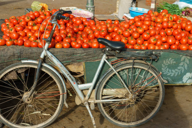 North Africa. Morocco. Taroudant. A bicycle leaning against a tomato stand