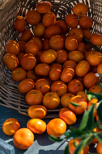 Seasonal naartjies - a soft citrus fruit grown in South Africa