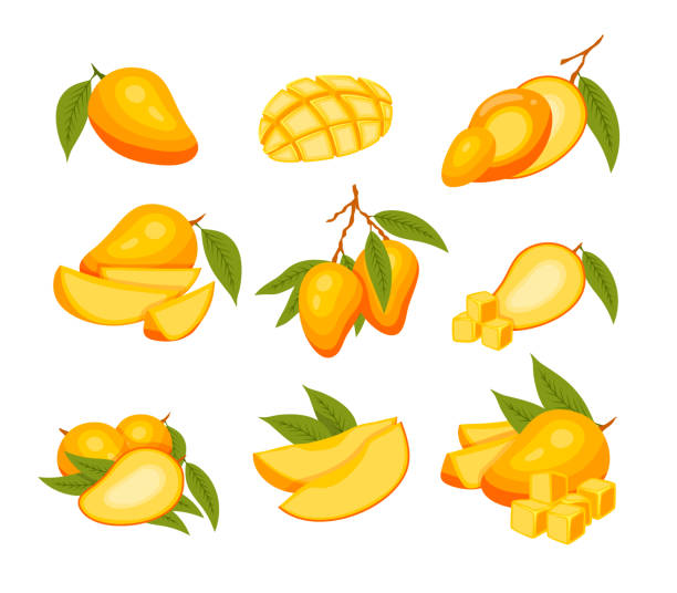 Cartoon Color Mango with Leaves and Slices Icon Set. Vector Cartoon Color Mango with Leaves, Slices, Whole and Pieces Icon Set Concept Flat Design Style. Vector illustration mango ice cream stock illustrations