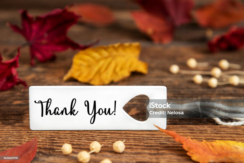 Autumn Background, Label with Thank You Autumn or Fall Background with Label with English Text Thank You, Colorful Autumn Leaves, Seasonal Background with Quote Admiration Stock Photo