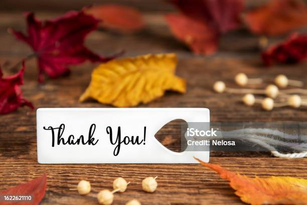 Autumn Background Label With Thank You Stock Photo - Download Image Now - Admiration, Autumn, Brown