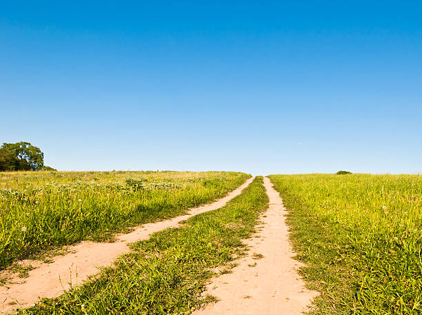 istock dirt road in a field 162262301