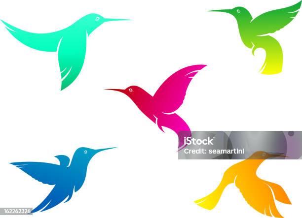 Voar Cor Colibris - Arte vetorial de stock e mais imagens de Animal - Animal, Asa de animal, Bater asas