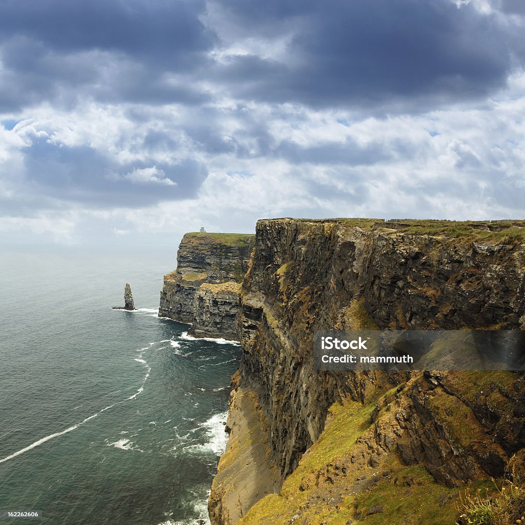 Falésias de moher na Irlanda - Foto de stock de Gaivota royalty-free