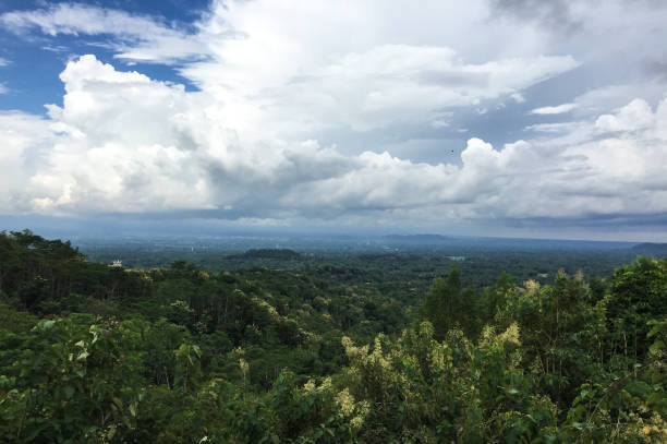 istock Green forest in Yogyakarta, Indonesia 1622627352