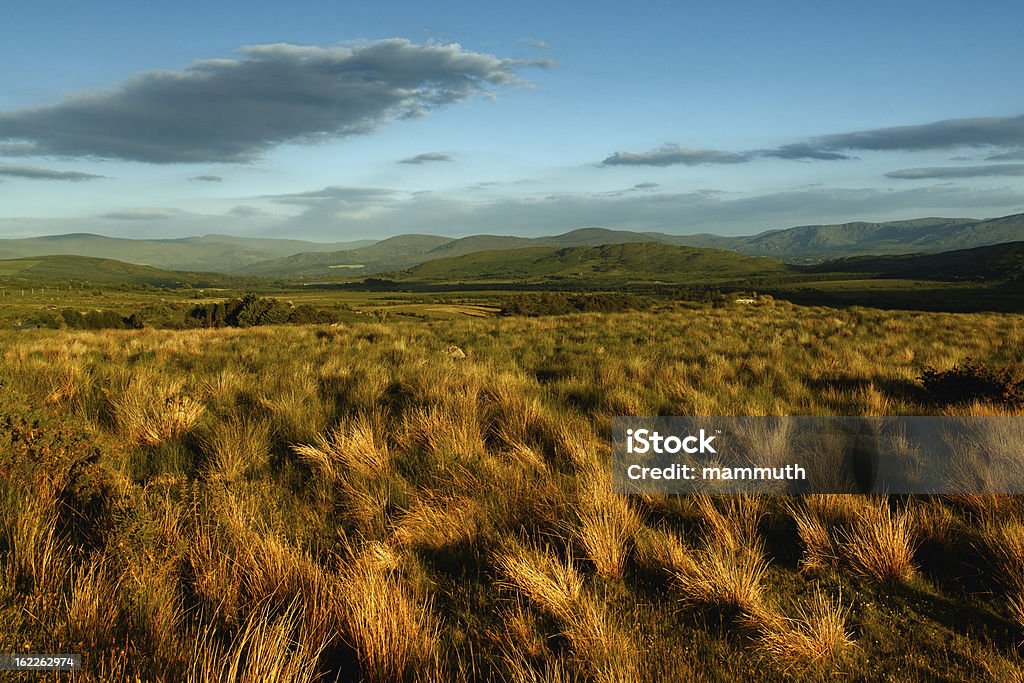 irish paesaggio - Foto stock royalty-free di Ambientazione esterna