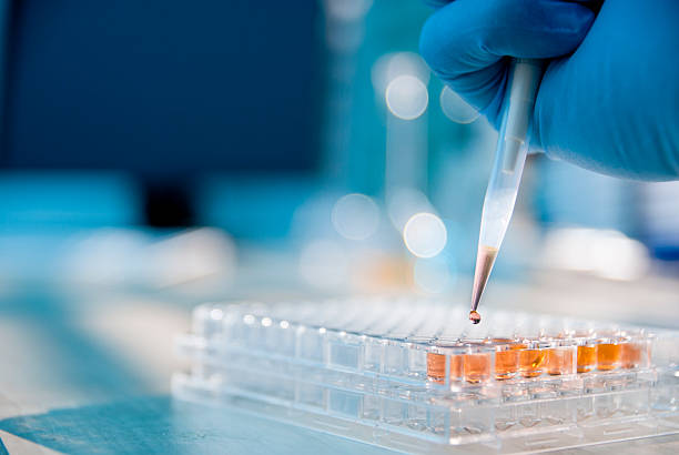 Lab Experiment Lab technician injecting liquid into a microtiter plate vial stock pictures, royalty-free photos & images
