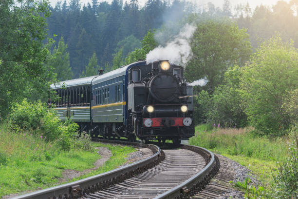istock Retro steam train moves in the forest. 1622672590