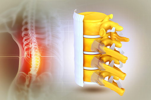 Human spine on scientific background. Spine cancer, injury, pain. 3d illustration