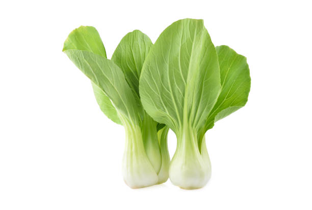 istock Bok choy vegetable isolated on  white background. 1622693357