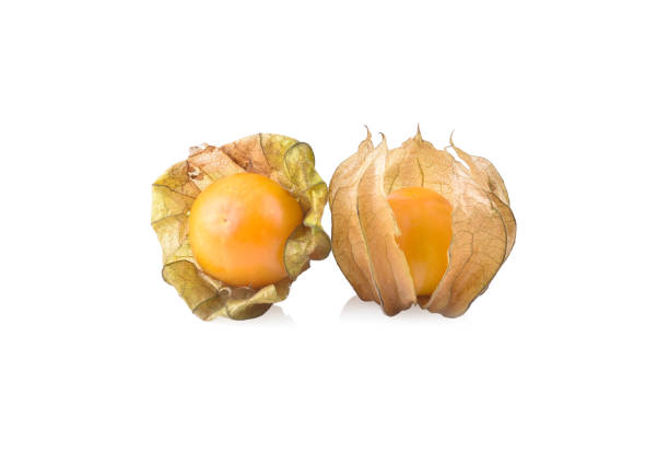 Cape gooseberry (physalis) isolated on white background. Cape gooseberry (physalis) isolated on white background. gooseberry cape winter cherry berry fruit stock pictures, royalty-free photos & images