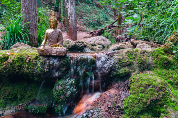 istock Buddha statue sitting in a mountain river meditating on a waterfall 1622701462