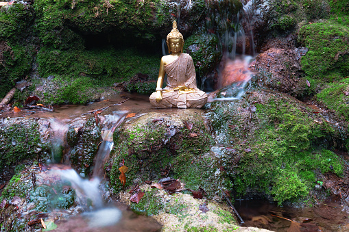 Buddha statue sitting in a river with rocks and green moss and with a waterfall with splashing water effect