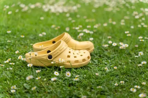 Photo of Yellow comfortable light rubber shoes standing on a meadow with daisies.