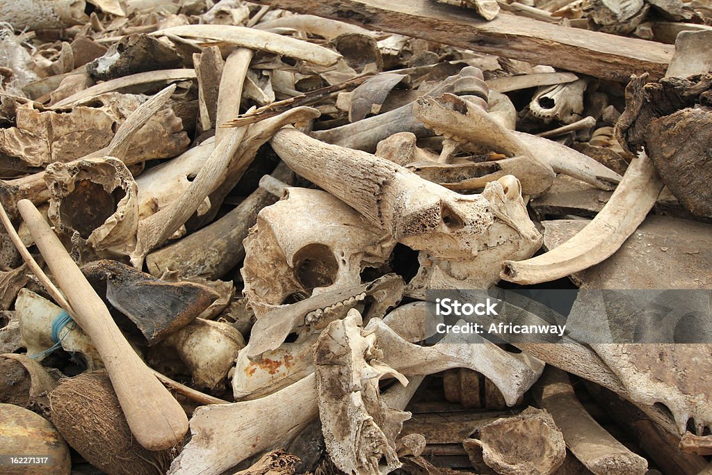 Ossos e crânios no mercado de vodu em Lomé, Togo - Foto de stock de Animal morto royalty-free