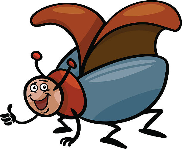 bildbanksillustrationer, clip art samt tecknat material och ikoner med beetle insect cartoon illustration - melolontha melolontha