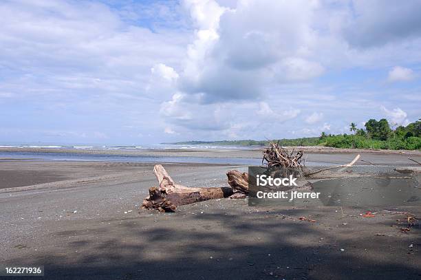 Sirena Al Corcovado E Lestuario Del Fiume - Fotografie stock e altre immagini di Acqua - Acqua, Acqua fluente, Ambientazione esterna