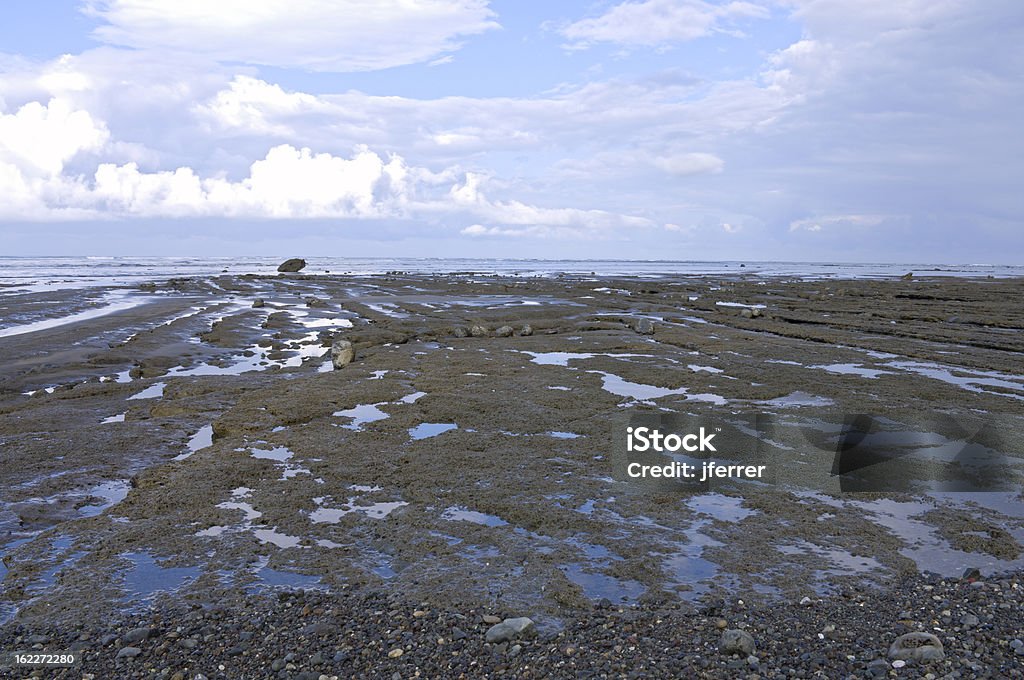 Corcovado National Park Shoreline Corcovado National Park near San Pedrillo Station along Pacific Coast of Osa Peninsula in Costa Rica Boulder - Rock Stock Photo