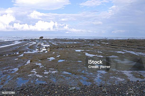 Corcovado National Park Shoreline Stock Photo - Download Image Now - Boulder - Rock, Central America, Coastline