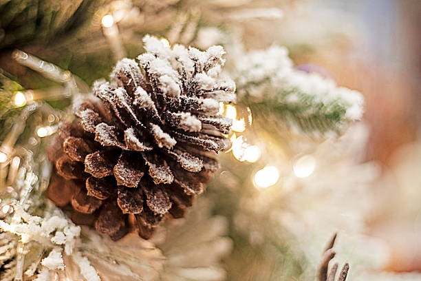 istock cone in the snow on the christmas tree. Festive christmas background 1622737739