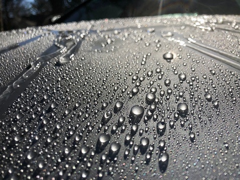 A close-up of a sports car hood covered with rain droplets