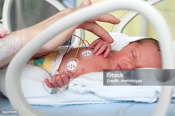 Newborn Baby In Incubator Stock Photo - Download Image Now - Premature, Incubator, Neonatal Intensive Care Unit