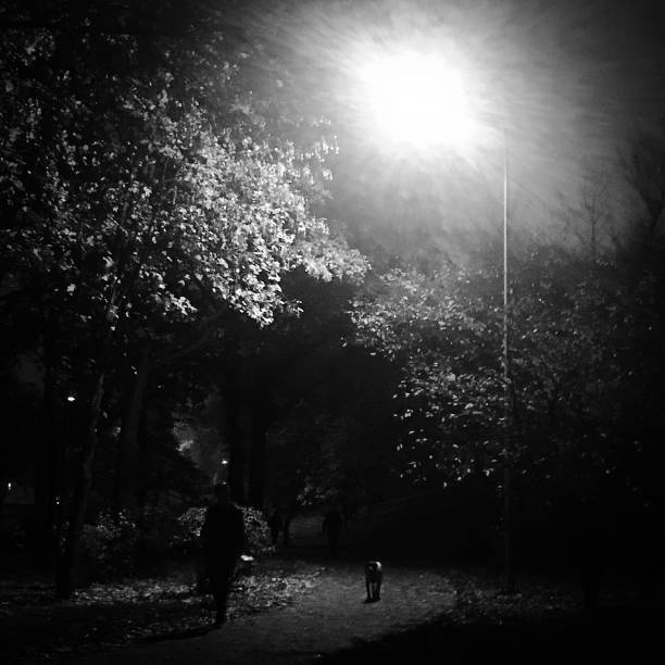 istock Large bright lantern illuminates road for man and dog 1622775249