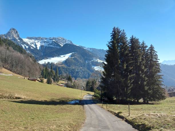 istock Paths to discover in Switzerland 1622809319