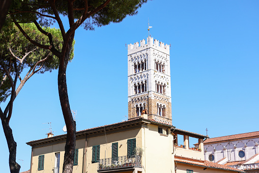 Guinigi tower in Lucca, Italy