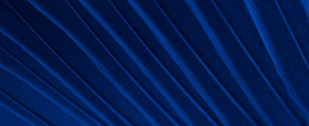 istock red feather tit macro photo. texture or background 1622821129