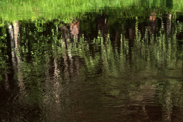 istock natural background, water landscape, shiny water surface with reflection 1622824403