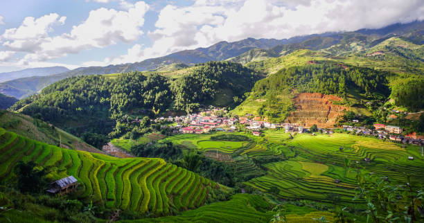 istock Terraced rice field in Northern Vietnam 1622842711