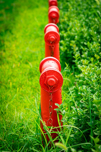 Fire Hydrant in front of flower bed.