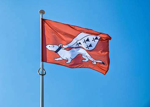 The emblem flag of Brittany, l'Hermine, a stoat.\nIn folklore, its believed that instead of dirtying it's white winter coat, the stoat would prefer to die. The region named the stoat the symbol of Brittany in honor of its purity and willingness to die instead of giving in to lower morals.