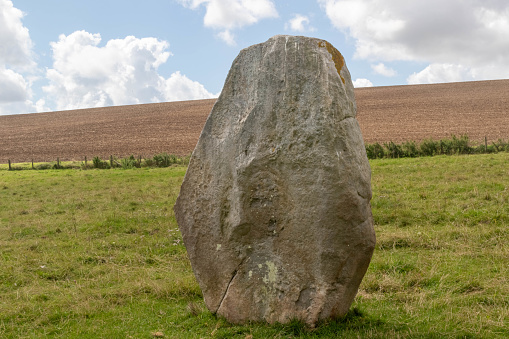 Stones along the West Kennet Avenue, a parallel line of standing stones leading out from Avebury Henge and part of the World Heritage Site