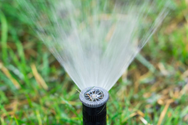 istock automatic lawn watering system on green grass background, closeup. 1622860306