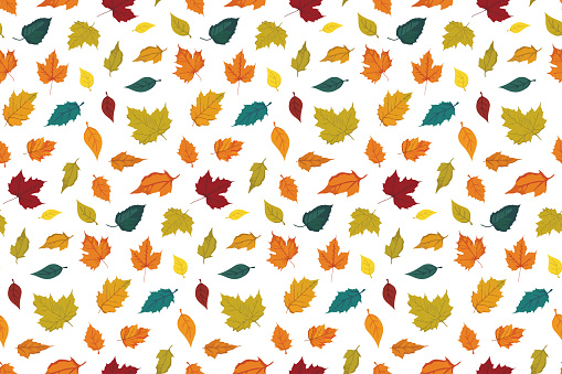 Seamless Pattern with vibrant colorful Autumn Fallen Leaves, flat design style, editable stroke on white background. Vector endless print for wrapping paper or fabric