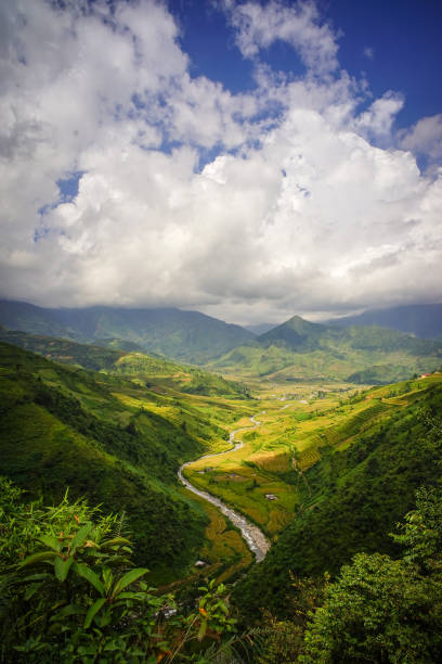 istock Terraced rice field in Northern, Vietnam 1622890924