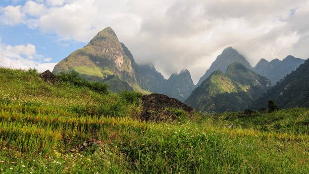 paesaggio di montagna in vietnam del nord - 5502 foto e immagini stock