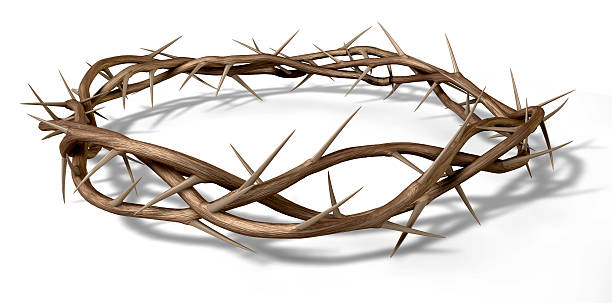 Crown Of Thorns