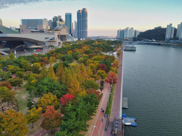 вид с воздуха на парк осенний нару, город центум, пусан, южная корея, азия - south corea стоковые фото и изображения