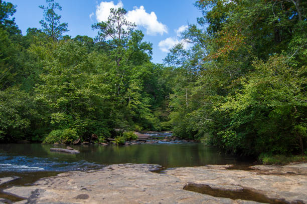 istock Line Creek Nature Area 1622921471