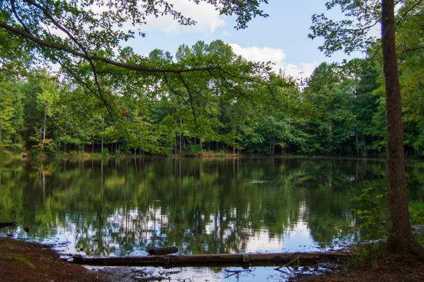 istock Line Creek Nature Area 1622923032