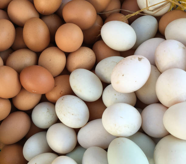 istock Eggs for sale at the local market 1622945260