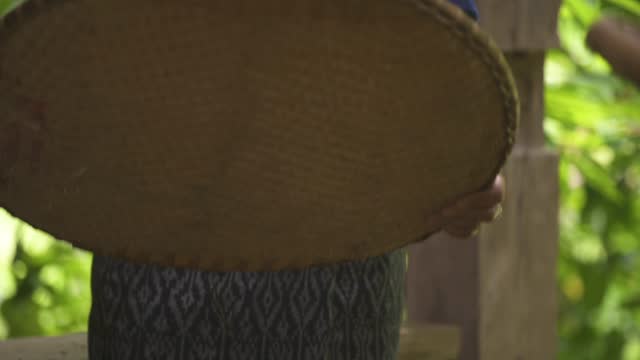 Hands of an elderly Asian woman holding a bamboo or rattan basket to sift paddy to separate rice grains and husks.