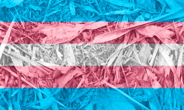 istock LGBT flag texture as the background 1622981731