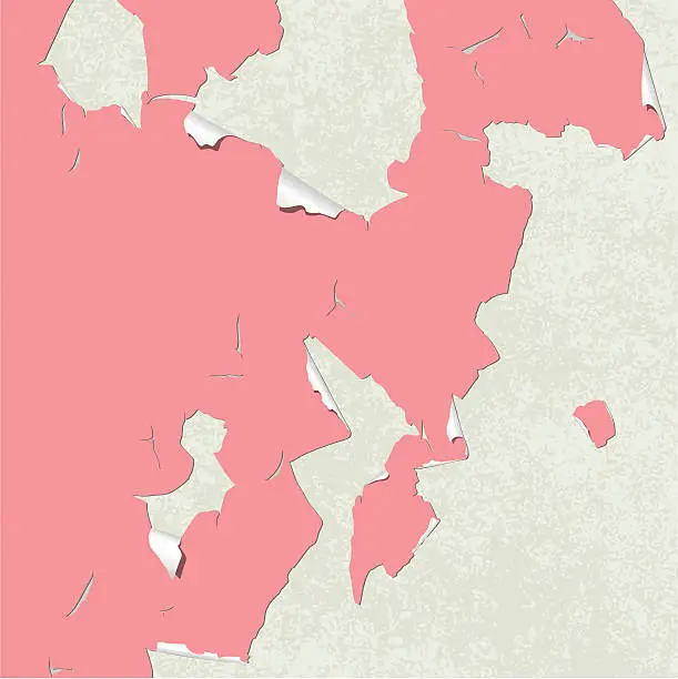 Vector illustration of Pink paint peeling to reveal cream underneath