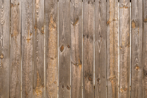 Close-up on a blueish gray wooden fence.